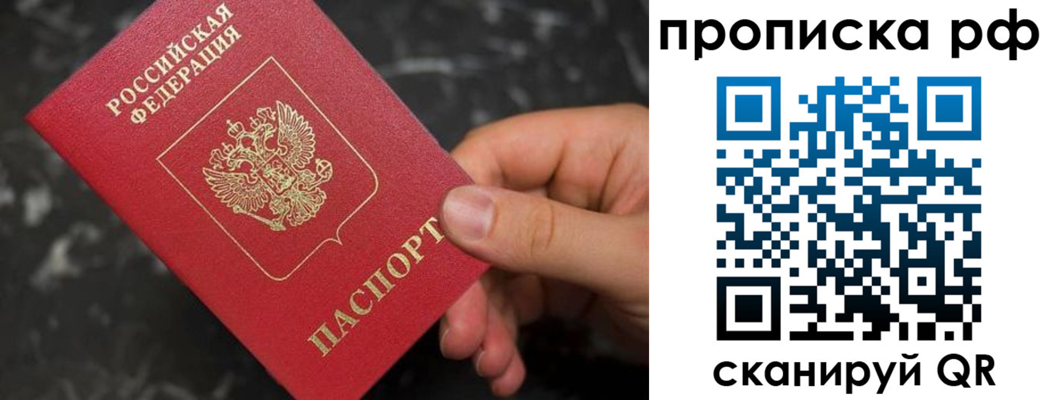 прописка 2025 в Ельне