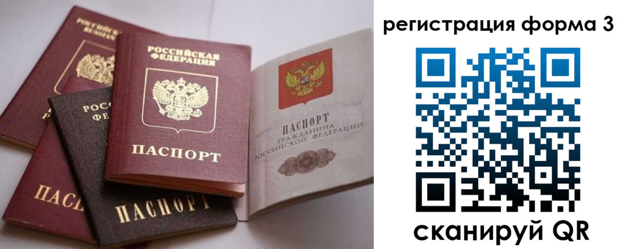 временная регистрация госуслуги в Ельне
